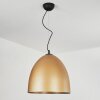 Bakou Pendant Light black, 1-light source