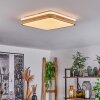 Kayyan Ceiling Light LED white, 1-light source