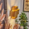 Chipo Wall Light gold, 1-light source