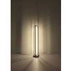 Globo FLIPS Floor Lamp LED black, 1-light source, Remote control