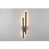 Trio Tawa Outdoor Wall Light LED anthracite, 2-light sources