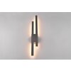 Trio Tawa Outdoor Wall Light LED anthracite, 2-light sources