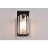 Trio Ardila Outdoor Wall Light black, 1-light source