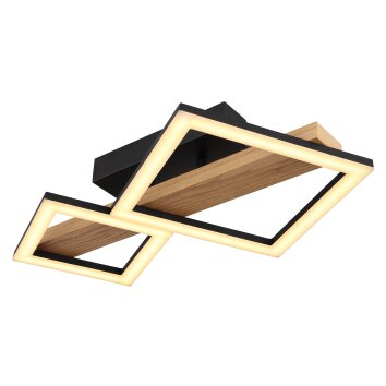 Globo DUSTIN Ceiling Light LED Dark wood, black, 1-light source