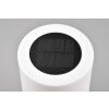 Reality Silva Solar lights LED white, 1-light source