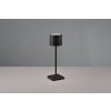 Reality Fernandez Table lamp LED black, 1-light source