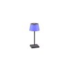 Reality Sanchez Table lamp LED anthracite, 1-light source, Colour changer