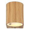 Globo VERONIKA Outdoor Wall Light Wood like finish, 1-light source