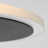 Steinhauer Turound UpLighter LED black, 1-light source