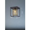 Fischer & Honsel Caydo Ceiling Light black, 1-light source
