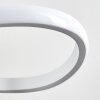 Pitasch Pendant Light LED white, 1-light source
