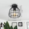 Piment Ceiling Light black, 1-light source