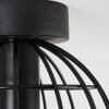 Piment Ceiling Light black, 1-light source