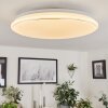 Sdok Ceiling Light LED white, 1-light source, Remote control, Colour changer