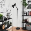 Vijes Floor Lamp black, 1-light source