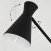 Vijes Floor Lamp black, 1-light source