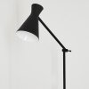 Vijes Floor Lamp black, 1-light source