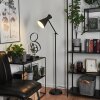 Vijes Floor Lamp black, 1-light source