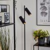Trutielle Floor Lamp black, 2-light sources