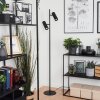 Trutielle Floor Lamp black, 2-light sources