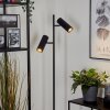 Trutielle Floor Lamp black, 2-light sources