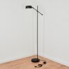 Camori Floor Lamp black, 1-light source