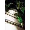 LEDVANCE Door Outdoor Wall Light white, 1-light source, Motion sensor