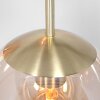 Steinhauer Bollique Pendant Light brass, 5-light sources