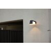 Lutec Moon Outdoor Wall Light LED anthracite, 1-light source