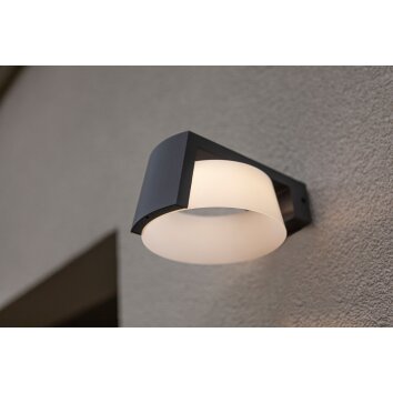 Lutec Moon Outdoor Wall Light LED anthracite, 1-light source