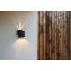 Lutec Rialto Outdoor Wall Light LED black, 2-light sources