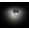 Lutec Cypres Outdoor Wall Light anthracite, 1-light source