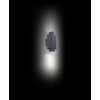 Lutec Cypres Outdoor Wall Light anthracite, 2-light sources