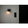 Lutec Cypres Outdoor Wall Light anthracite, 2-light sources