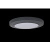 Lutec Kayah outdoor ceiling light LED anthracite, 1-light source
