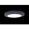 Lutec Kayah outdoor ceiling light LED anthracite, 1-light source