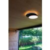 Lutec Goleta Outdoor Wall Light LED black, 1-light source