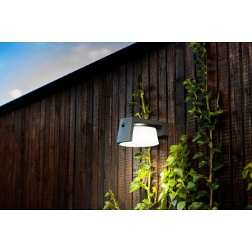 Lutec Moon Solar lights LED anthracite, 1-light source, Motion sensor