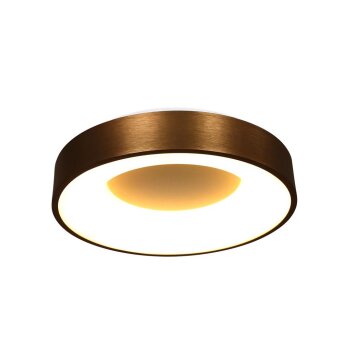 Steinhauer Ringlede Ceiling Light bronze, 1-light source