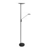Steinhauer Daphne UpLighter LED black, 2-light sources