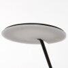 Steinhauer Daphne Floor Lamp LED black, 1-light source