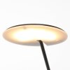 Steinhauer Daphne Floor Lamp LED black, 1-light source