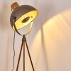 Floor Lamp Tholen brown, 1-light source