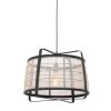 Steinhauer Capos Pendant Light black, 1-light source
