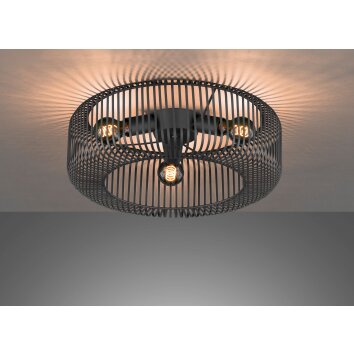 SCHÖNER WOHNEN-Kollektion Cage Ceiling Light black, 3-light sources