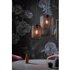 SCHÖNER WOHNEN-Kollektion Cage Pendant Light black, 1-light source