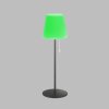 SCHÖNER WOHNEN-Kollektion Talent Table lamp LED anthracite, 1-light source, Remote control, Colour changer