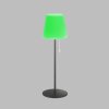 SCHÖNER WOHNEN-Kollektion Talent Table lamp LED anthracite, 1-light source, Remote control, Colour changer