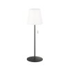 SCHÖNER WOHNEN-Kollektion Talent Table lamp LED anthracite, 1-light source, Remote control, Colour changer
