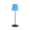 SCHÖNER WOHNEN-Kollektion Talent Table lamp LED anthracite, 1-light source, Remote control, Colour changer